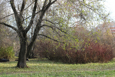 Similar image 13029358