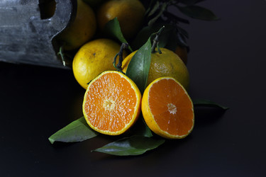 Similar image 13009766