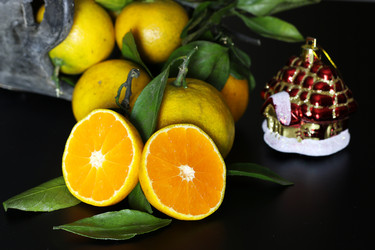 Similar image 13029155