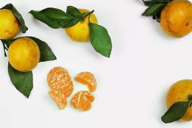 Similar image 13029359