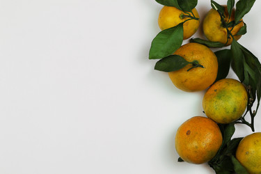 Similar image 13029417