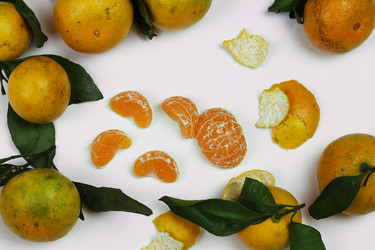 Similar image 13029440