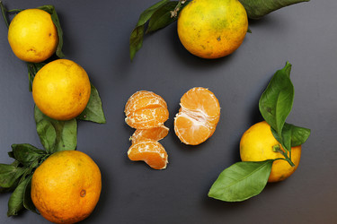 Similar image 13029500