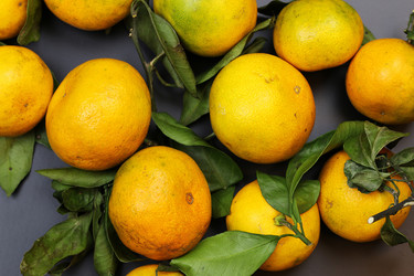 Similar image 13040288