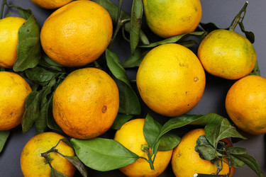 Similar image 13040089