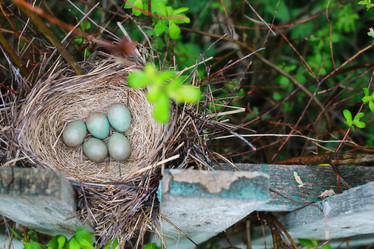 Similar image 13001839