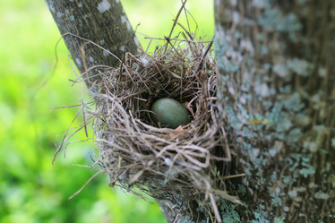 Similar image 13029402