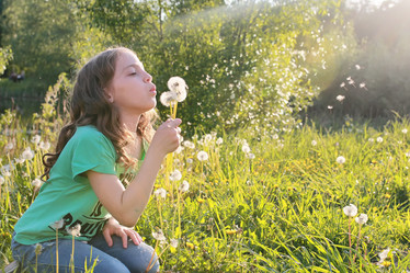 Similar image 13029220