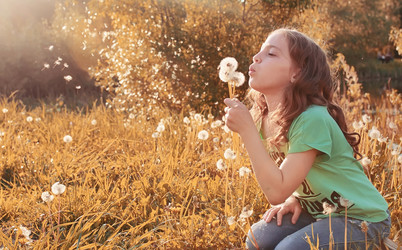 Similar image 13029241