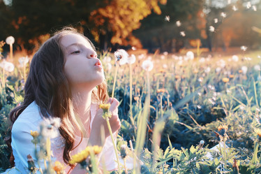 Similar image 13040091