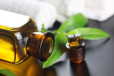 Similar image 13001712