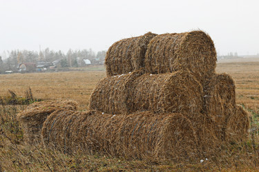 Similar image 13029120