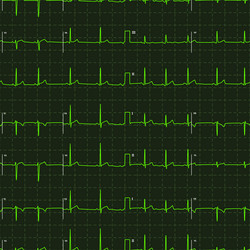 Similar image 13004432