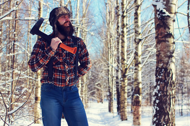 Similar image 13010065