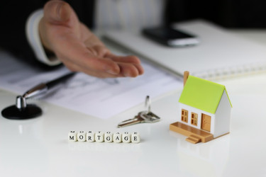 Similar image 13001734