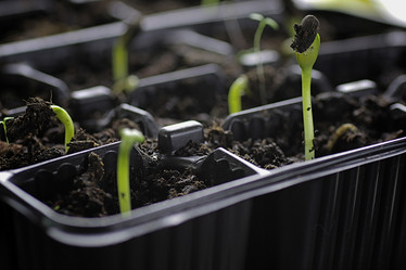 Similar image 13029123