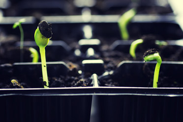 Similar image 13029142