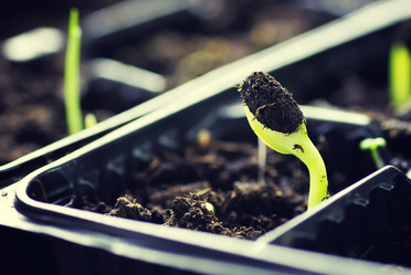 Similar image 13029159