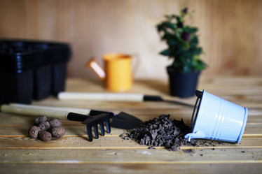 Similar image 13029344