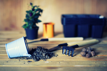 Similar image 13029364