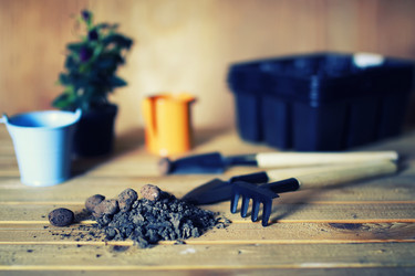 Similar image 13029384