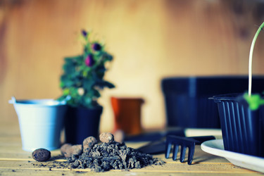 Similar image 13029425