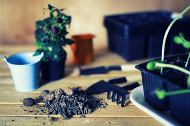 Similar image 13029444