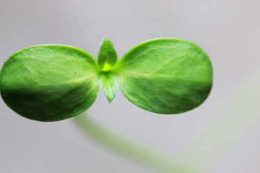 Similar image 13029464