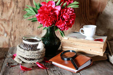 Similar image 13029502