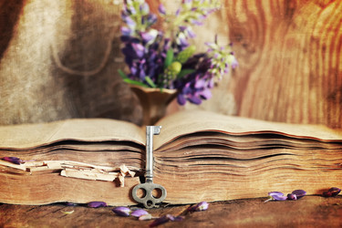 Similar image 13029203