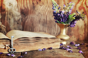 Similar image 13029264