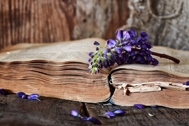 Similar image 13029345