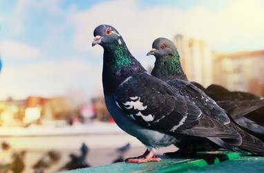 Similar image 13001818