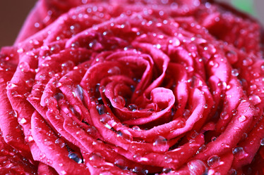 Similar image 13001835