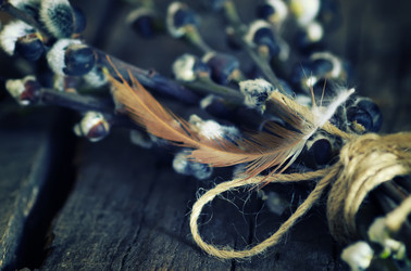 Similar image 13002235