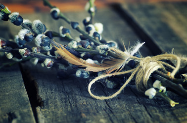 Similar image 13002559