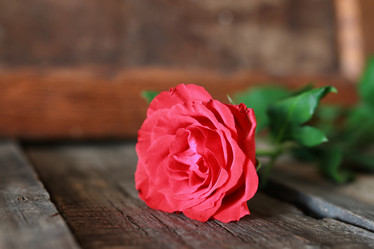 Similar image 13005689