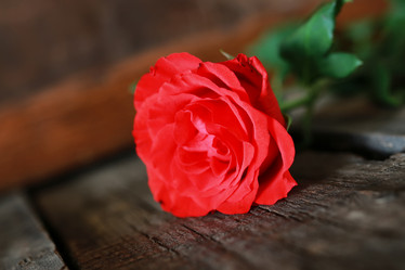 Similar image 13009774