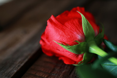 Similar image 13009914