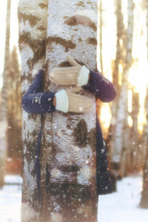 Similar image 13029506