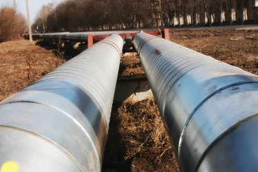 Similar image 13064745