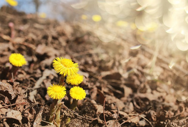 Similar image 13064944