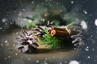 Similar image 13055417