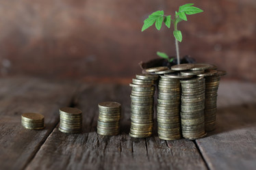 Similar image 13057148