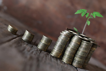 Similar image 13056825