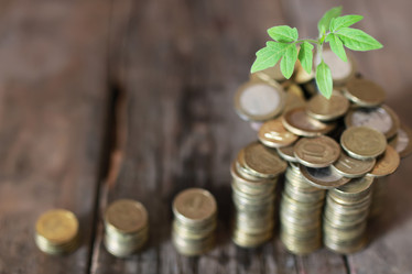 Similar image 13056888