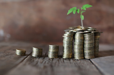 Similar image 13056909