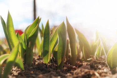 Similar image 13054802