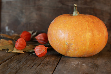 Similar image 13055339