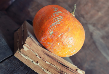 Similar image 13055538